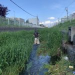 河川維持工事　草刈り集草